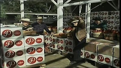 The Man From U.N.C.L.E. Season 3 Episode 27