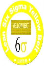 Lean Six Sigma Yellow Belt