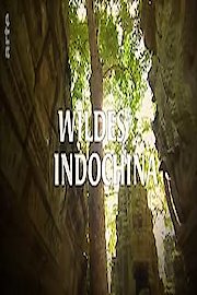 Indochina's Wild Heart