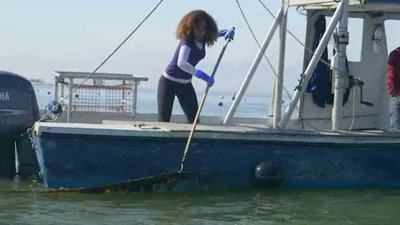 Xploration Nature Knows Best Season 2 Episode 3