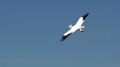 Xploration Nature Knows Best Season 1 Episode 1