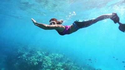 Xploration Nature Knows Best Season 1 Episode 4