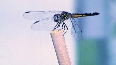 Xploration Nature Knows Best Season 1 Episode 7