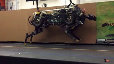 Xploration Nature Knows Best Season 1 Episode 13