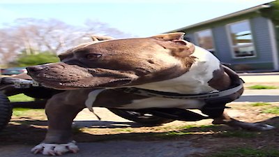 The Henry Ford's Innovation Nation Season 3 Episode 1