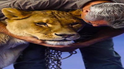 The Henry Ford's Innovation Nation Season 3 Episode 11