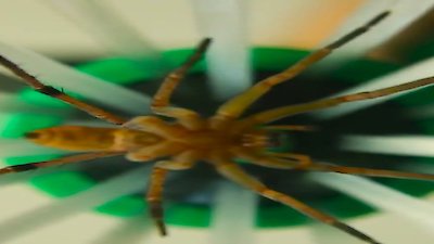 The Henry Ford's Innovation Nation Season 3 Episode 18