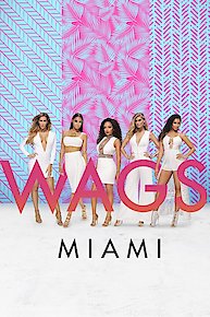 WAGS: Miami