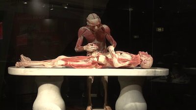 Death: A Series About Life Season 1 Episode 4