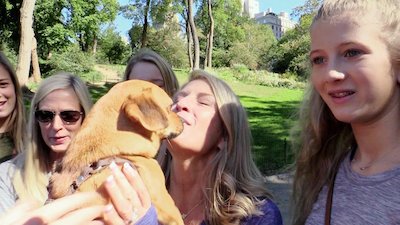 Puppy Bowl Season 16 Episode 4