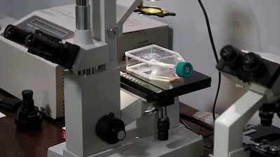 Vice News Tonight Season 3 Episode 68