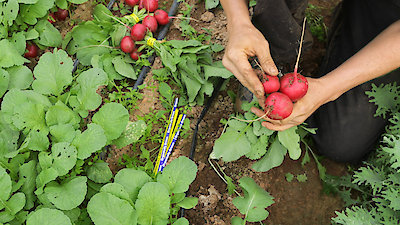 Vice News Tonight Season 4 Episode 14