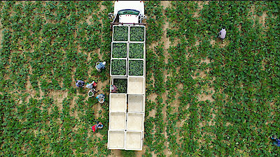 Vice News Tonight Season 4 Episode 22