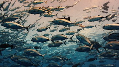 Journey with Dylan Dreyer Season 1 Episode 19