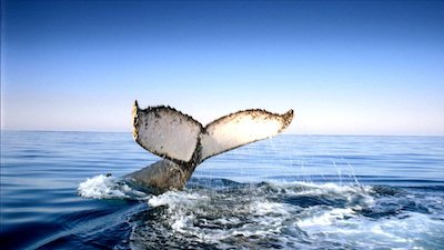 Journey with Dylan Dreyer Season 1 Episode 22