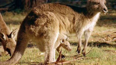 Journey with Dylan Dreyer Season 1 Episode 25