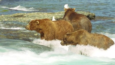 Journey with Dylan Dreyer Season 2 Episode 2