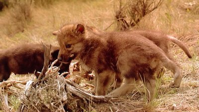 Journey with Dylan Dreyer Season 2 Episode 4