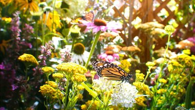 Journey with Dylan Dreyer Season 2 Episode 1