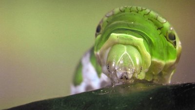 Journey with Dylan Dreyer Season 2 Episode 10