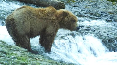 Journey with Dylan Dreyer Season 2 Episode 12