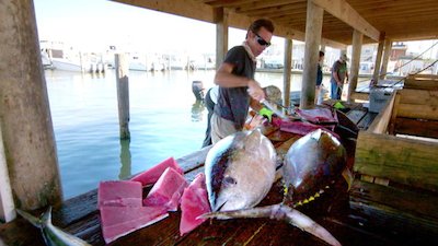 Journey with Dylan Dreyer Season 2 Episode 14