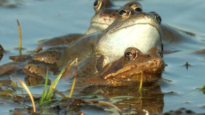 Journey with Dylan Dreyer Season 2 Episode 15