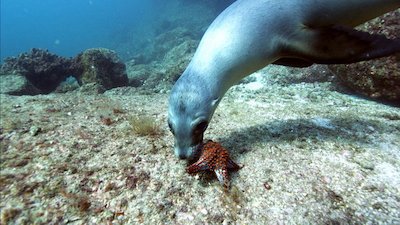 Journey with Dylan Dreyer Season 2 Episode 16