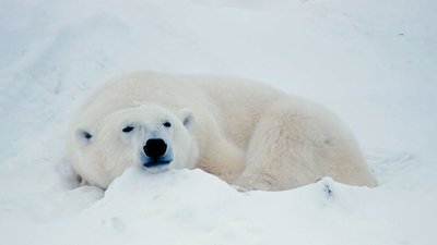 Journey with Dylan Dreyer Season 1 Episode 1