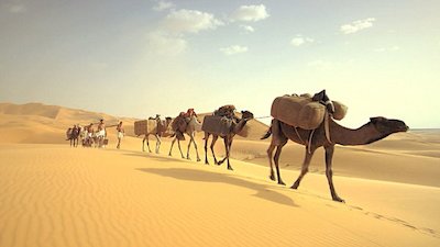 Journey with Dylan Dreyer Season 1 Episode 2