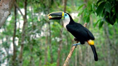 Journey with Dylan Dreyer Season 1 Episode 3