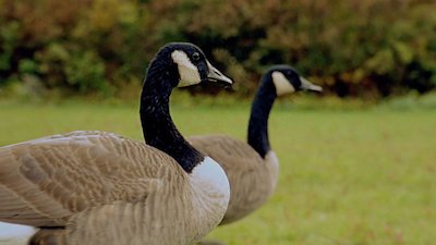 Journey with Dylan Dreyer Season 1 Episode 4