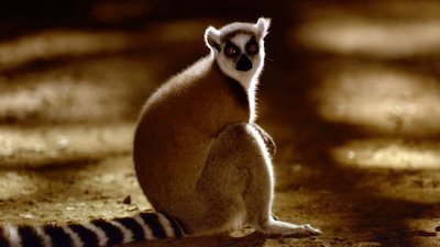 Journey with Dylan Dreyer Season 1 Episode 5