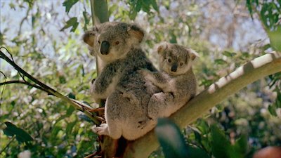 Journey with Dylan Dreyer Season 1 Episode 7