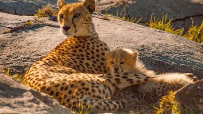 Journey with Dylan Dreyer Season 1 Episode 8