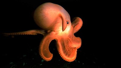 Journey with Dylan Dreyer Season 1 Episode 9