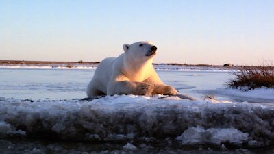 Journey with Dylan Dreyer Season 1 Episode 12