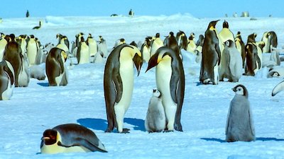 Journey with Dylan Dreyer Season 1 Episode 14