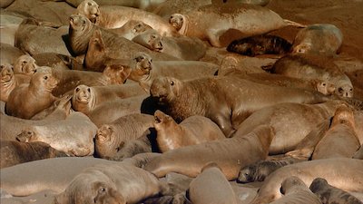 Journey with Dylan Dreyer Season 1 Episode 16