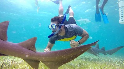 The Voyager with Josh Garcia Season 2 Episode 16