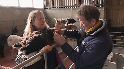 The Yorkshire Vet Season 14 Episode 3