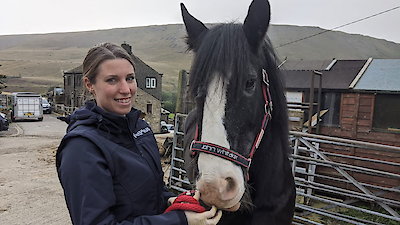 The Yorkshire Vet Season 20 Episode 2