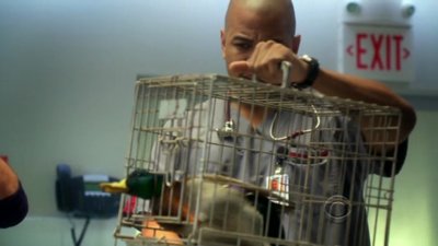 Miami Medical Season 1 Episode 13