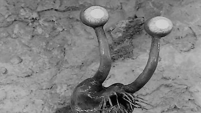 Ultra Q: The Complete Series Season 1 Episode 3