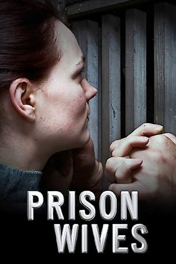 watch prison break season 1 episode 20