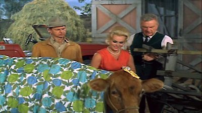 Green Acres Season 1 Episode 12