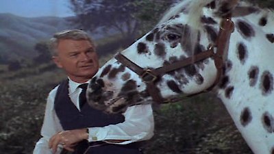 Green Acres Season 1 Episode 29