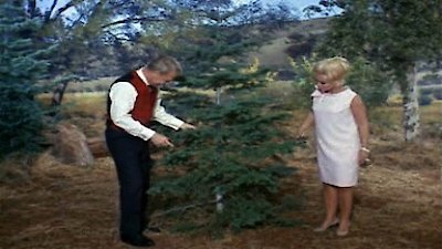 Green Acres Season 2 Episode 13