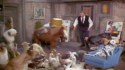 Green Acres Season 2 Episode 19