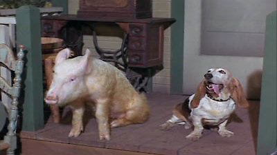 Green Acres Season 3 Episode 3